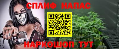 шишки Заволжье