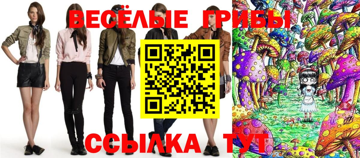 Михайловск  Галлюциногенные грибы GOLDEN TEACHER  Вход с VPN 