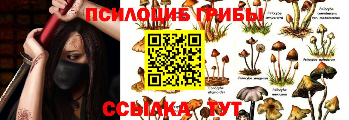 Псилоцибиновые грибы GOLDEN TEACHER Михайловск